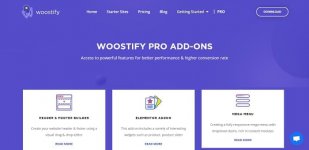 woostify-fast-lightweight-responsive-and-super-flexible-woocommerce-theme-pro-addon.jpg