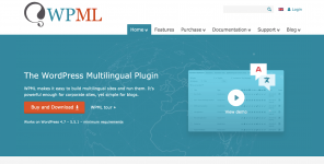 acf-multilingual-wpml.png acf-multilingual-wpml.png