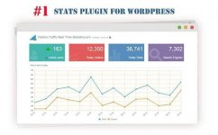 Visitor-Traffic-Real-Time-Statistics-Pro-For-WordPress-screenshot.jpg