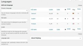 features-Polylang-Pro.jpg features-Polylang-Pro.jpg