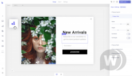 BravePopupBuilder-V0.4.3.png BravePopupBuilder-V0.4.3.png