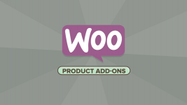 WooCommerce-Product-Add-ons-1.png