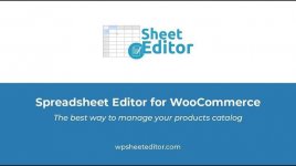 wp-sheet-editor.jpg