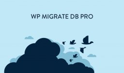 wp-migratedb-pro-sponsorship-img.jpg