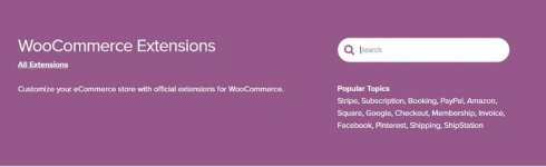 Woocommerce-Extensions.jpg