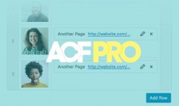 acf-pro.jpg