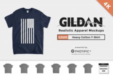gildan 5000.jpg gildan 5000.jpg