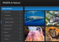 xenforo-expanded-category-list-accordion-menus-media-gallery.jpg xenforo-expanded-category-list-accordion-menus-media-gallery.jpg