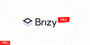 brizy-pro.png brizy-pro.png