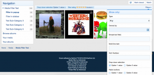 1 - Filter Popup.png 1 - Filter Popup.png