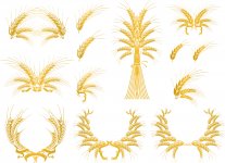 Heraldic Elements 3.jpg