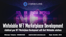 Whitelable NFT Marketplace Development.png