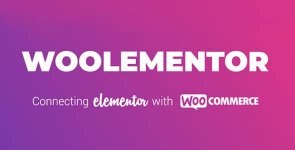 Woolementor-Pro.jpg Woolementor-Pro.jpg