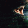 Snowden